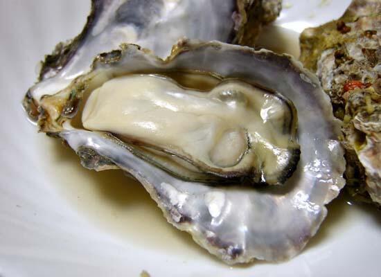 鮮活水產類：甲魚