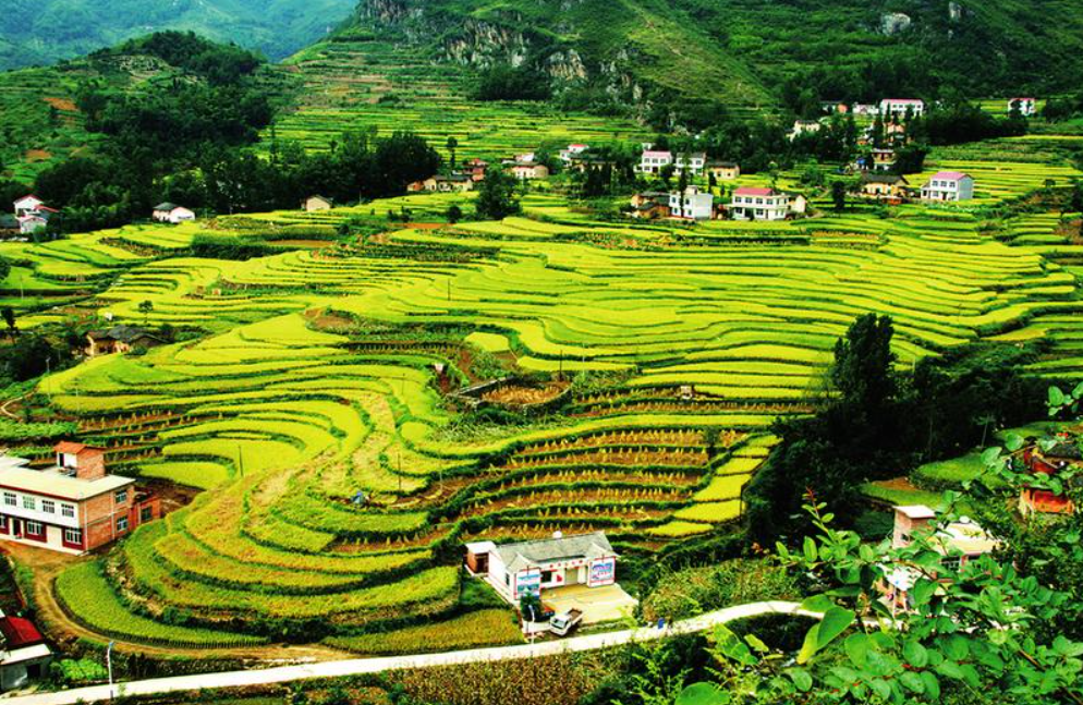 惠州蔬菜配送中心分享報道：陜西為改善農村人居環境持續發力