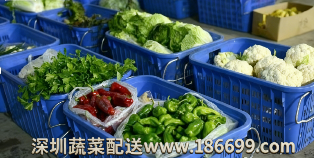 深圳食堂蔬菜配送為何選擇佳惠鮮蔬菜配送中心？