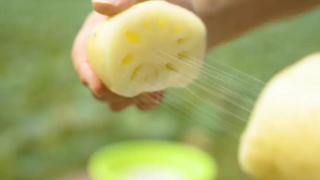 藕斷為什么會(huì)絲連呢，東莞食材生鮮配送中心與您談一談