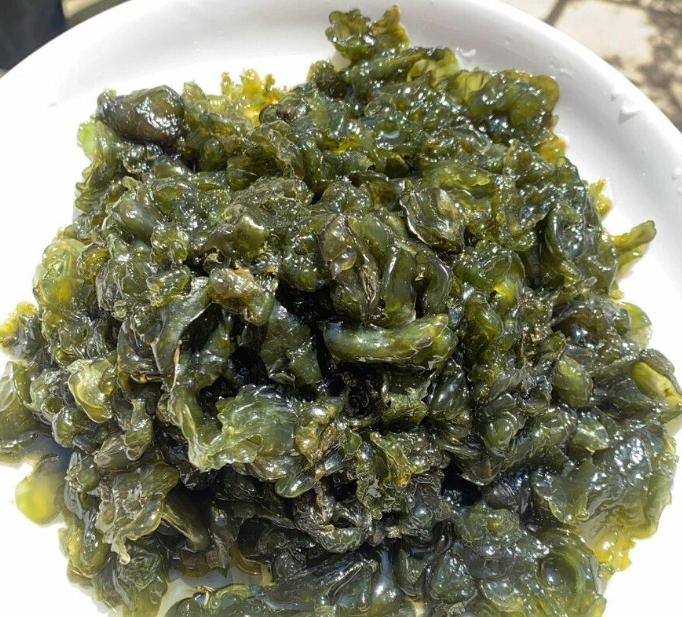 1774534488618320.png 地皮菜.png